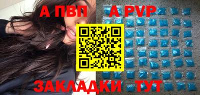 стафф Камышлов